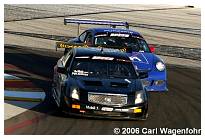 IMG_9525.JPG