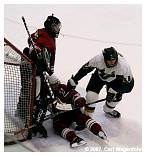 IMG_9778.jpg