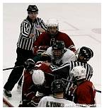 IMG_9788.jpg