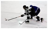 IMG_2776.JPG