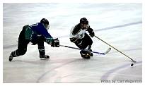 IMG_8819.jpg
