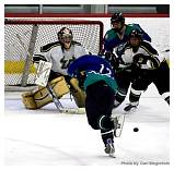IMG_8943.jpg