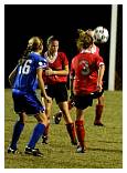 IMG_2985_f.jpg