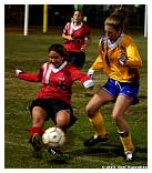 IMG_3779F.jpg