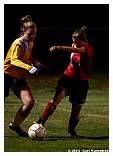 IMG_3783F.jpg