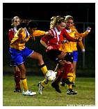IMG_3803F.jpg