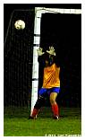 IMG_3906F.jpg