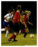 IMG_4088F.jpg