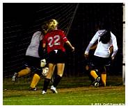 IMG_4331F.jpg