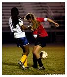 IMG_4397F.jpg