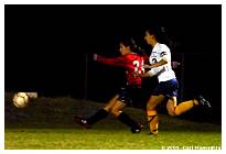 IMG_4428F.jpg