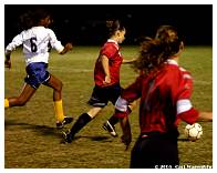 IMG_4461F.jpg