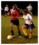 IMG_4494F.jpg