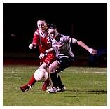 IMG_4959F.jpg
