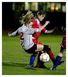 IMG_5206F.jpg