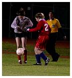 IMG_5337F.jpg