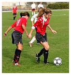 IMG_5955.JPG